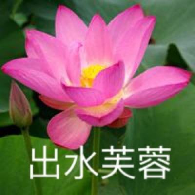 叫我万岁爷果盘版下载
